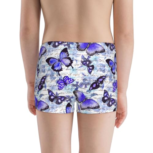 Boys' Cotton Boxer Brief Soft Underwear-Butterflies3