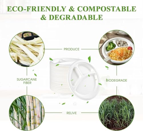 Image of Disposable Plates Bagasse | 10 inch 3-Compartment Round | 10 Pack | Disposable Plates Bagasse | Biodegradable | Sugarcane Paper Plates | Birthday & Party (10 inch, 10)