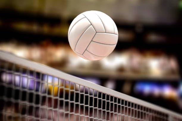 Image of Vixen Volleyball Net vx500
