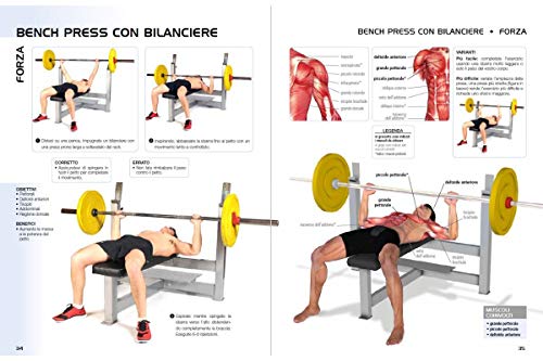 Anatomia della forza e del condizionamento