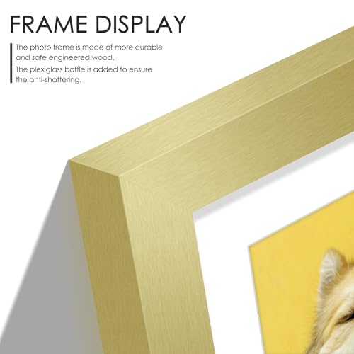 Image of DUENPY 12x16 Picture Frame 5x7 Collage Picture Frame Displays Four 5x7 inch Photos or 12x16 (Without Mat) for Available Horizontal Wall Mounting Display and Vertical Gold