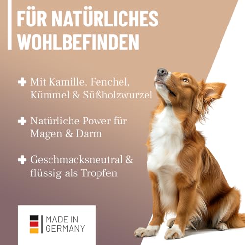 ReaVET Magen & Darm Tropfen für Hunde 100ml I Darmsanierung Hund – Unterstützt die natürliche Verdauung & Darmflora, Darmregulierung - sekundierend bei Durchfall oder Blähungen