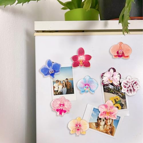 Imanes de Refrigerador de Acrílico Orquídea, 15 Piezas miniatura 7