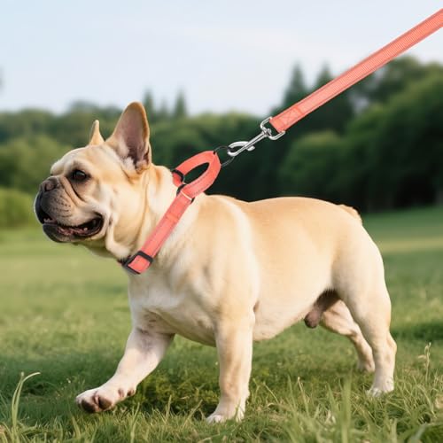 Erbine Padded Martingale Collar for Small Dogs, Quick Release Buckle by Erbine - Used condition - Image 2