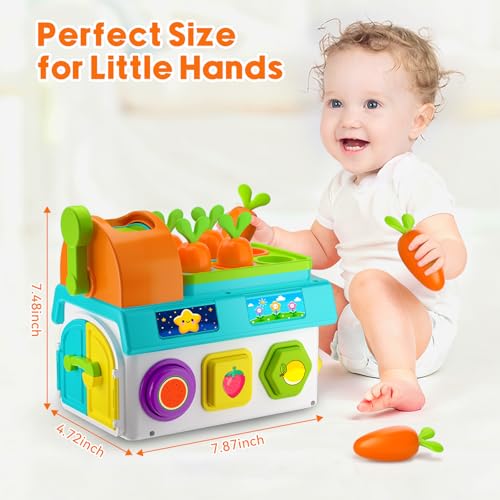 Image of Musical SortingToys for 1 Year Old Boy, 1st First Birthday Boy Girl Gifts Presents, Montessori Educational Learning Toddler Toy, Fine Motor Skills Toy