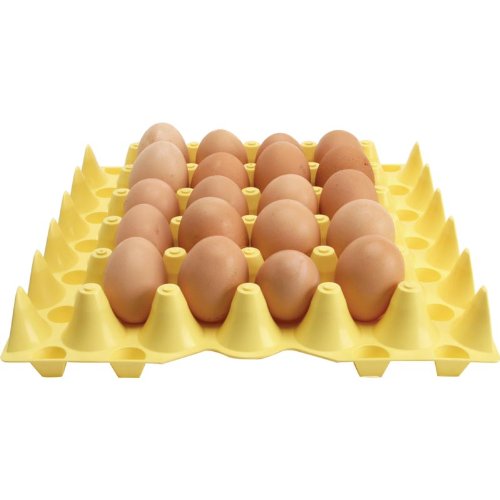 Plastic-Coated Egg Tray Rack