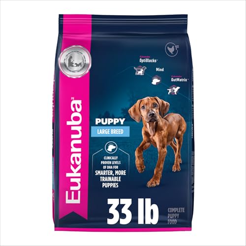 Eukanuba Adult Large Breed Dry Dog Food, 30 lb Bag