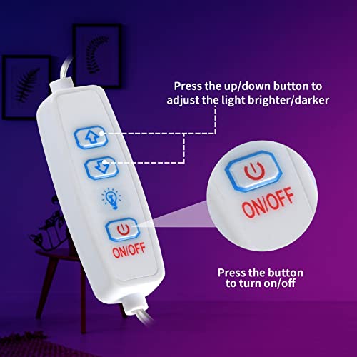 Jtlmeen Neon Sign, Cloud And Moon For Wall Decor Usb Powered Led Neon Signs For Bedroom Kids Room Wedding Party Decoration, Brightness Adjustable #TOP3