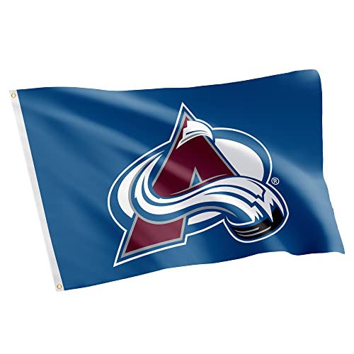 Desert Cactus Colorado Avalanche Flag NHL 100% Polyester Indoor Outdoor 3x5 feet National Hockey League Team Flags (Design #1)