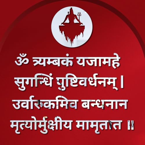 Image of Bikri Kendra - Shiva Mahamrityunjaya Mantra Wall Decor, Mirror Sticker, Acrylic Sticker for Pooja Mandir, Study Room, Office Premises, Living Room, Meditation (Silver)