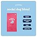 Chamberlain Coffee Social Dog Blend, Full Bodied Organic Coffee with Complex yet Smooth Notes of Milk Chocolate, Roasted Peanuts, Brown Sugar, Graham Cracker, Fresh Ground 12oz