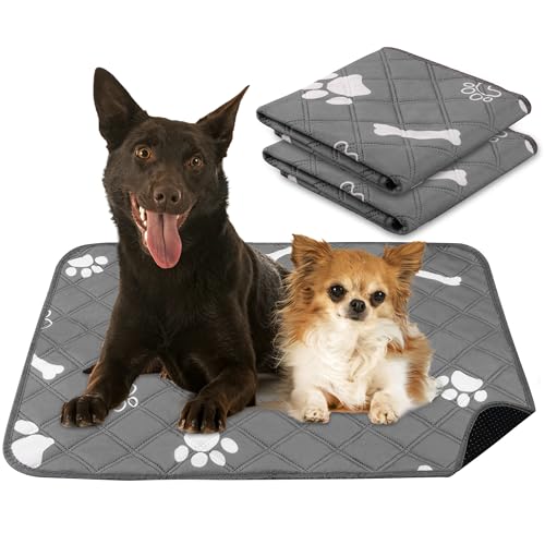 BTSD-home 洗えるペットシーツ 犬用 300回水洗可能｜防水 超吸収 繰り返し使える 45×60cm 2枚組 トイレトレーニング/ケア/屋内用