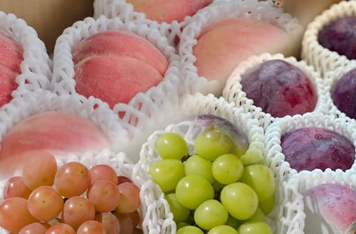 [定期便]甲州市自慢の3種セット "貴陽" "桃" "シャイン&サンシャインレッド" 3回定期便 自然農法[2026年7月中旬〜10月下旬頃、順次お届け予定](BNC)D8-425