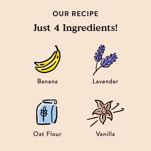 Bocce's Bakery Oven Baked Bedtime Tea Treats For Dogs, Wheat-Free Everyday Dog Treats, Made With Real Ingredients, Baked In The Usa, All-Natural Biscuits, Banana, Vanilla, & Lavender, 5 Oz #TOP1