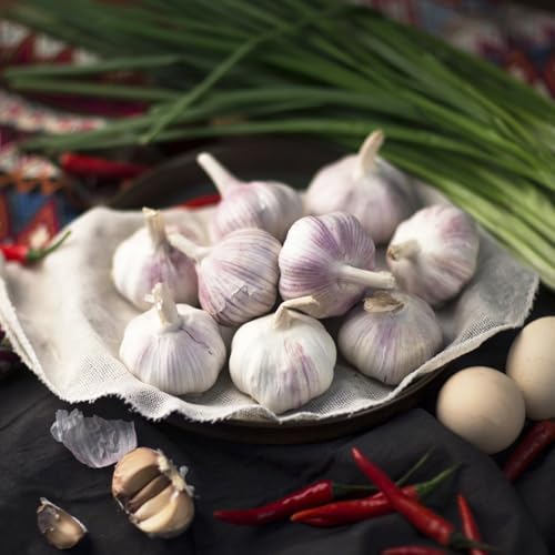 Semillas de ajo resistentes: plante semillas de ajo, de sombra resistentes, hermosas en maceta. maceta bonsai, verdes perennes 100pcs