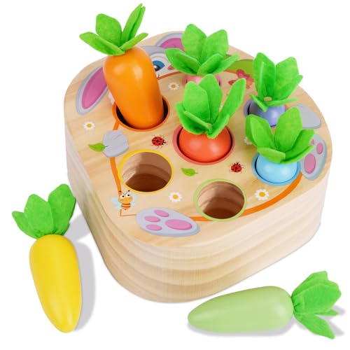 KMTJT Montessori Juguetes a partir de 1 año | Madera Motorik Montessori Juego de clasificación de madera Puzzle de madera para 6 12 meses niños y niñas | Juguete educativo para niños como regalo para