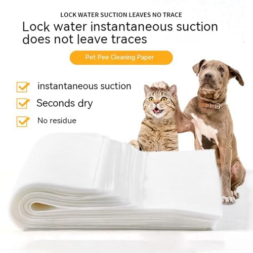 Couche chien ventouse jetable 100 pièces à haute absorption anti-odeur