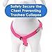 Pawtitas Solid Step-in Dog Harness – Adjustable No-Pull Vest for Puppies to Seniors, Safe & Comfortable S Pink