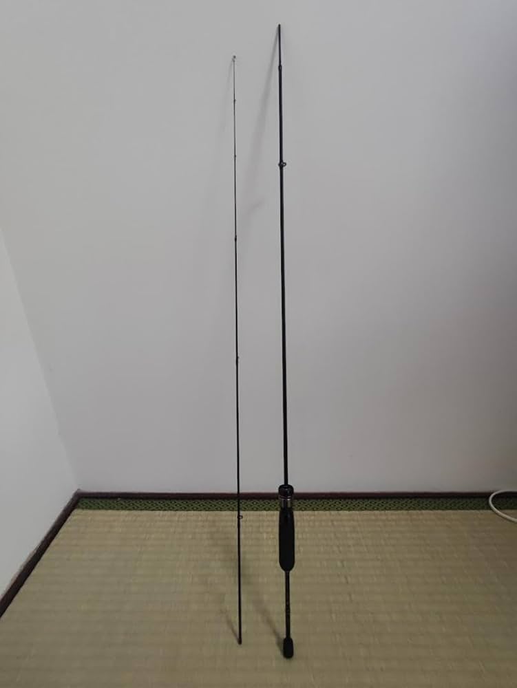 Amazon.co.jp: がまかつ ラグゼ 宵姫 爽 S58FL-solid THFBWBYN