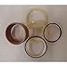 RAParts 0843613 New Cylinder Seal Kit Made to Fits John Deere Compact Excavator Arm 50 ZTS
