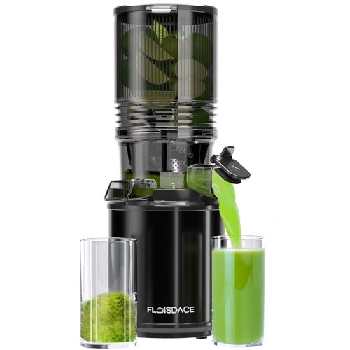 Cold Press Juicer – Hands-Free Electric Masticating Juicer Machine with 6.5