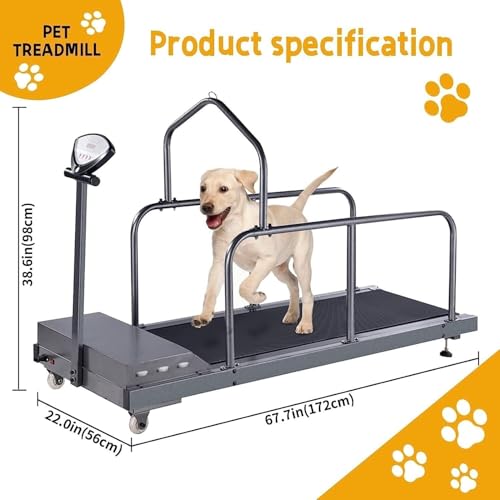 Jiangtaom Dog Treadmill Design
