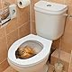 Jowxsx Gelb 3D Eichhörnchen Toilettensitz Aufkleber - 3D Eichhörnchen Toilettensitz Aufkleber, Eichhörnchen Toilettendeckel Aufkleber Toilettendeckel Badezimmer WC Aufkleber Lustiger Toilettendeckel