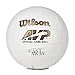 Wilson Cast Away Volleyball