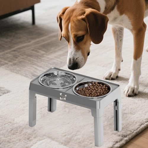 Gamelles surélevées pour chien de grande race et chat avec bols réglables