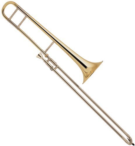 Vincent Bach Stradivarius Trombone Cleaning and Care Product (LT16MS)