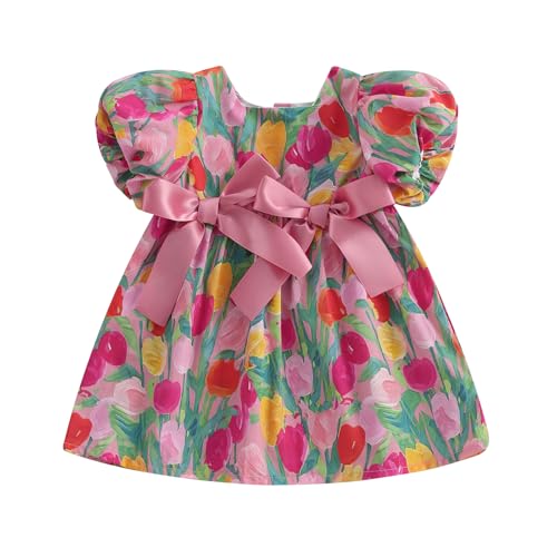 Toddler Infant Baby Girl Summer Dress Bow Puff Short Sleeve Sundress Floral Tulip Dress Cute Princess Clothes (Red, 9-12 Months)