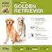 Wildsterne Breed Selection Golden Retriever, 10 kg | Getreidefreies Trockenfutter | Monoprotein | von Tierärzten entwickelt