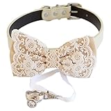 Champagne Lace Dog Bow Tie collar, Dog ring bearer, Pet Wedding accessory, Proposal, Dog collar,...