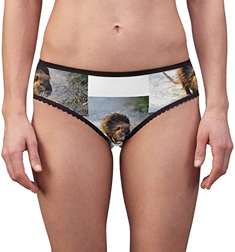 Coon Enjoying Panties, Coon Enjoying Underwear, Briefs, Cotton Briefs, Funny Underwear, Panties For Women