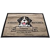 Tierisch-tolle Geschenke