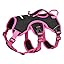 Pink & Black