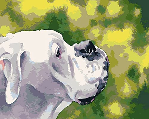 Kit pintura diamante 5D perro blanco contra el estrés y la ansiedad en casa