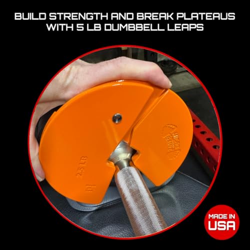 Image of Micro Gainz 2.5LB Dumbbell Fractional Weight Plates, 4-Piece