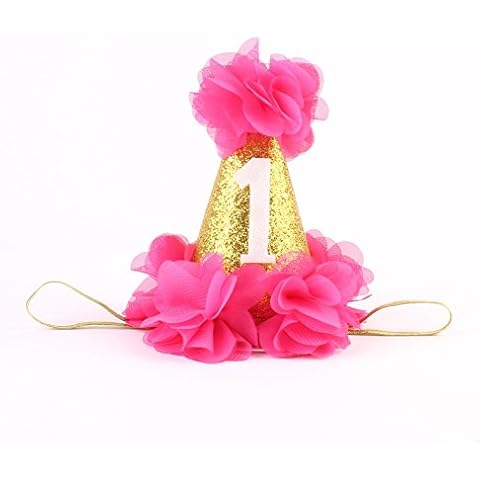 Stock Show 1st Pet Birthday Cone Hat Dogs Cats Holiday Party Hat Headwear Costume with Flowers Accessories and Adjustable Headband for Small Medium Dogs Cats Pets Baby (Rose) Cover