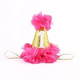 Stock Show 1st Pet Birthday Cone Hat Dogs Cats Holiday Party Hat Headwear Costume with Flowers Accessories and Adjustable Headband for Small Medium Dogs Cats Pets Baby (Rose)