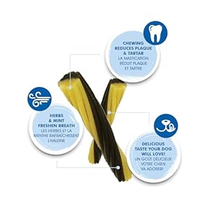 Nbone Flossta Dual Action Dental Chews Mint Flavor 12oz Bag Cucciolini Doodles N bone flossta dual action dental chews mint flavor 12 oz bag cucciolini doodles