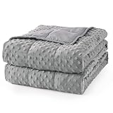 Mr. Sandman Weighted Blanket for Adults, Minky Dots Heavy Blanket for Woman, Man Sleeping and Calm, Soft and Cozy Weighted Throw Blankets, Machine Washable, 41 x 60in, 10 lbs, Grey