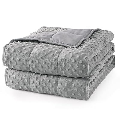 Mr. Sandman Weighted Blanket for Adults, Minky Dots Heavy Blanket for Woman, Man Sleeping and Calm, Soft and Cozy Weighted Throw Blankets, Machine Washable, 41 x 60in, 10 lbs, Grey