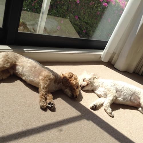 4. To sleep well means a lot.