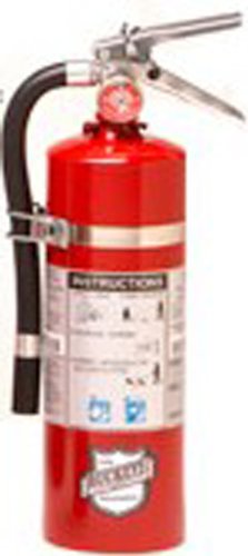 Buckeye 13514 Standard Dry Chemical Hand Held Fire Extinguisher with Aluminum Valve and Vehicle Bracket, 5.5 lbs Agent Capacity, 4-1/4