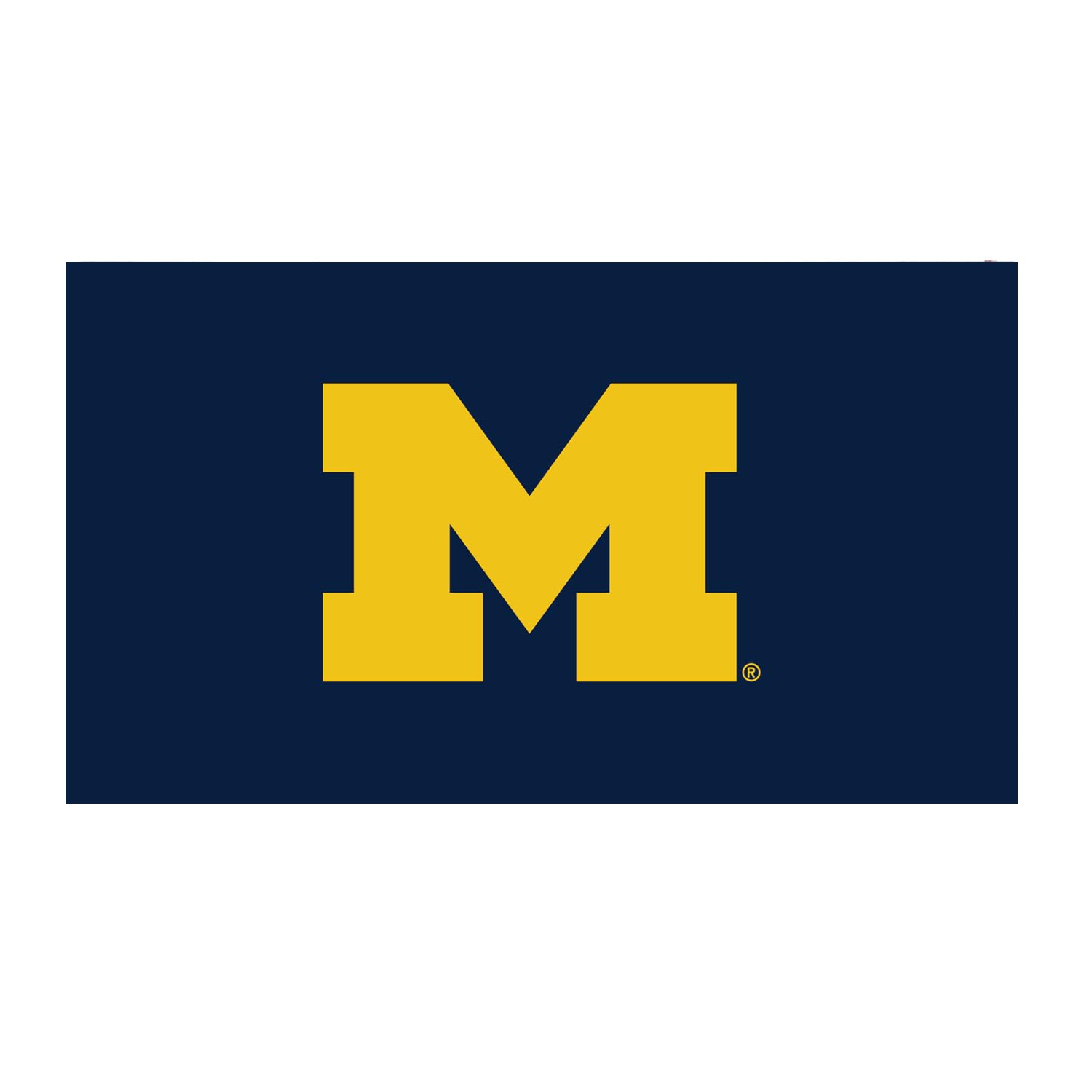 Team Sports America NCAA University of Michigan Sports Doormat | Indoor Outdoor Entrance | 28 x 16 Inches | Non-Slip Front Door Mats | Official Licensed | Sports Fans Entryway Welcome Rug