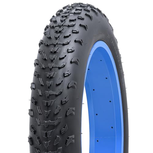 FengCan 1本 20x4.0 タイヤ(BQ055)