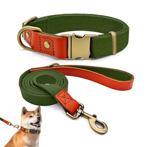 Qianruida Set Collare e Guinzaglio Cane in Nylon di Addestramento, Regolabile, Resistente, Antifuga, Collari per Cani di Piccola, Media e Grande Taglia, Verde Militare, L