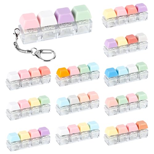12 Pcs Keyboard Fidget Keychain Keycap Stress Relief Fidget Keyboard Clicker for Office Gifts Adults ( 4 Keys )