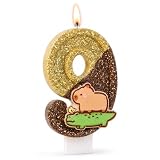 Capybara Geburtstagskerzen, Kerze 9 Geburtstag Mädchen, Capybara Kerze